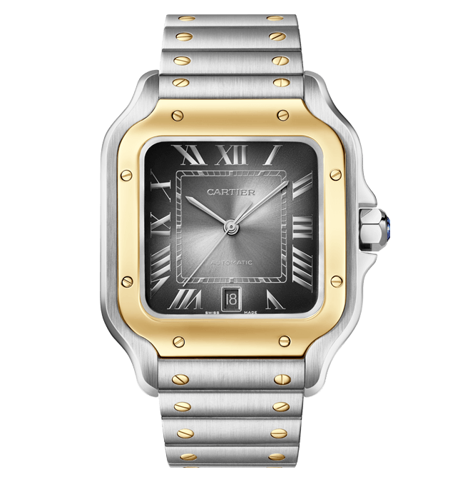 Cartier Santos De Cartier W2sa0030 Cortina Watch Bracelet