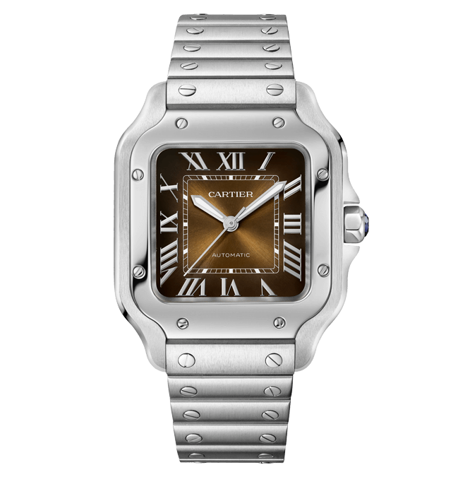 Cartier Santos De Cartier Wssa0064 Cortina Watch