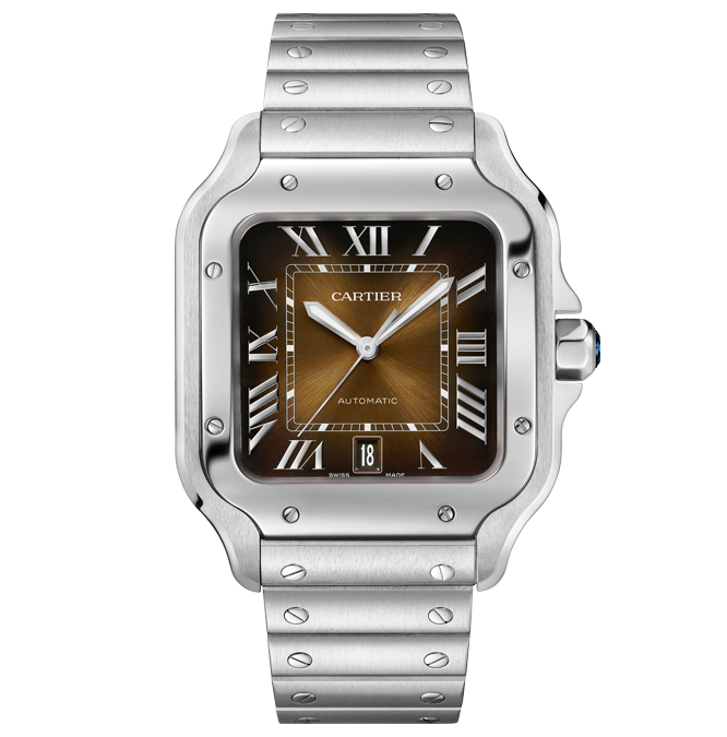 Cartier Santos De Cartier Wssa0065 Cortina Watch