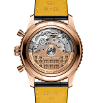 Breitling_Navitimer B19 Chronograph 43 Perpetual Calendar 140th Anniversary_Cortina Watch - caseback